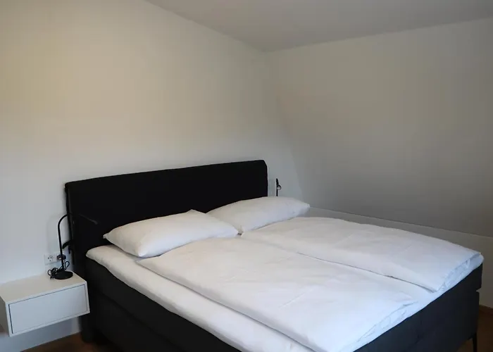 Dreamview דרובולאך אם פאקרסי